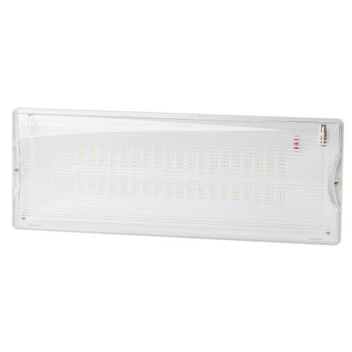Светильник светодиодный DPA-301-0-65 IP65 40LED 3ч аварийный непостоянный Проектный Эра Б0044405