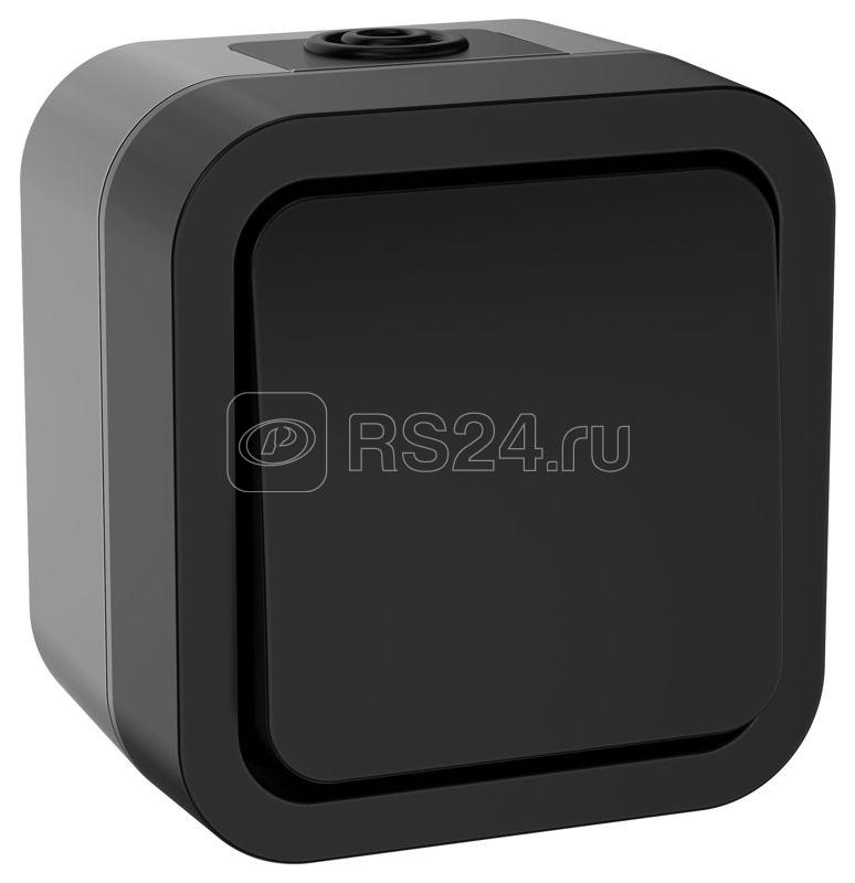 Выключатель 1-кл. 2п ОП TORS TS111 10А IP55 графит IEK TS-V16-0-10-55-K53