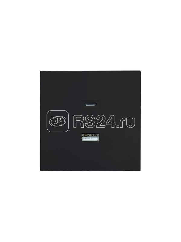 Розетка СП ZIMA IP20 Type-C + USB механизм черн. бархат LEZARD 704-4288-192TC