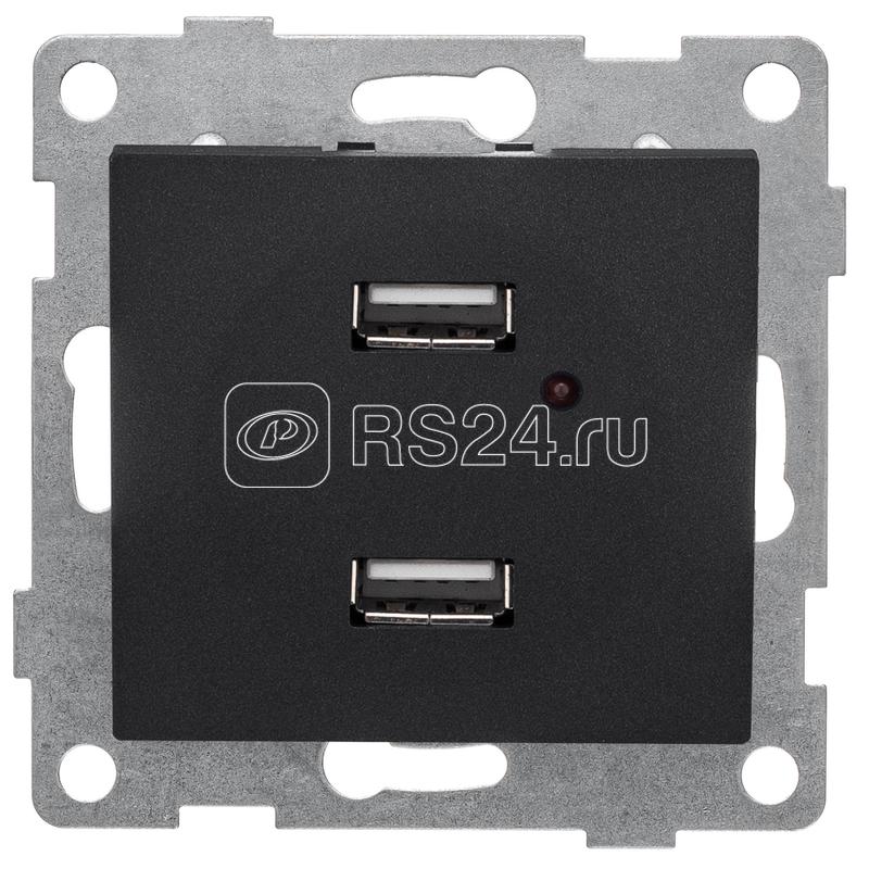 Розетка USB 2-м СП Bravo механизм графит GUSI С10USB2-010
